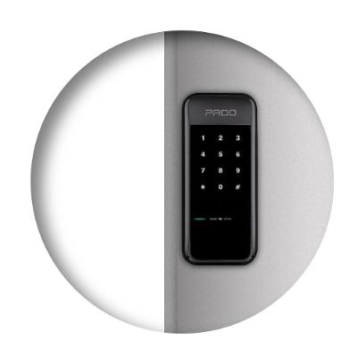 Fechadura Digital FDS-10 Com Alarme e Senha De Sobrepor Preto Pado