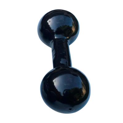 Halter 10KG Emborrachado Equilíbrio Fitness