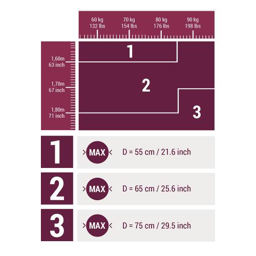 Bola de Ginástica e Pilates 65 cm Tamanho 2