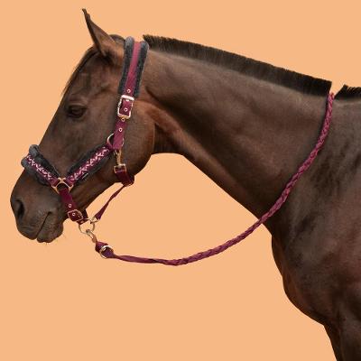 Cabresto + Guia para Hipismo Confort (conjunto) Fouganza
