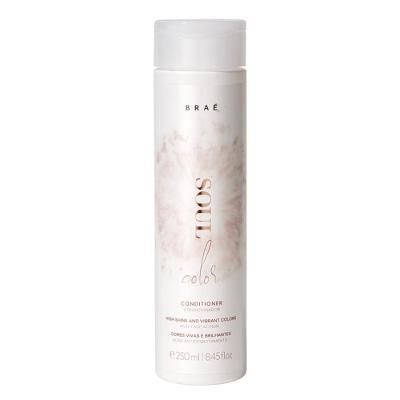 Condicionador Braé Soul Color 250ml