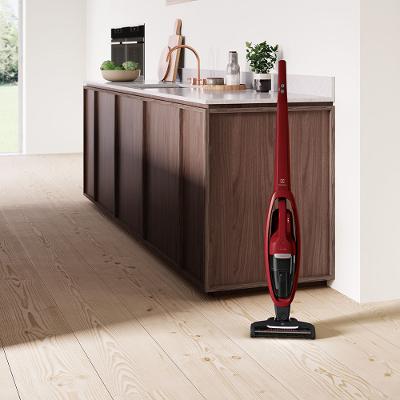 Aspirador de Pó Vertical Sem Fio Electrolux Ergorapido 2 em 1 Bocal Pet até 45 min Vermelho (ERG36)