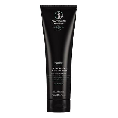 Paul Mitchell Awapuhi Wild Ginger Moisturizing Lather - Shampoo