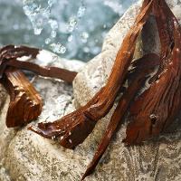 Perfume Light Blue Dolce&Gabbana Eau de Toilette Feminino - 3