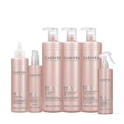 Kit Cadiveu Repair Solution Shampoo Sem Sulfato Condicionador Máscara Shot  Proteina e Fluido Leave-in (6 produtos)