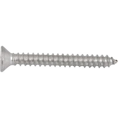 Parafuso tarraxante Inox 3,9x32,0mm Phillips 10 pçs Vonder
