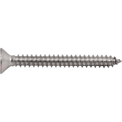 Parafuso Autoatarraxante Inox 5,5x50,0mm Phillips Vonder