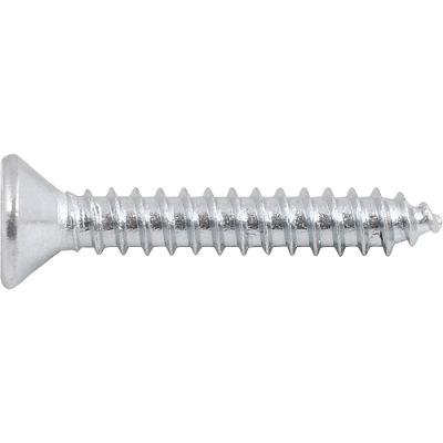 Parafuso Autoatarraxante 3,9x25 Phillips c/ 20 peças Vonder