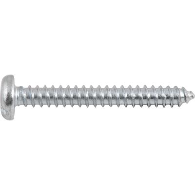 Parafuso Autoatarraxante 4,8x38,0mm c/ 10 peças Vonder