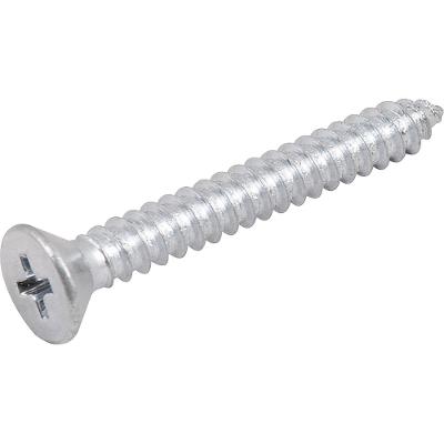 Parafuso Autoatarraxante 4,8x38mm 10 pçs Vonder