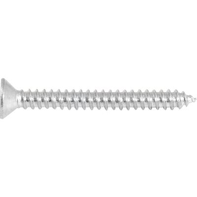 Parafuso Autoatarraxante 4,2x38,0mm Phillips 10 peças Vonder