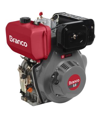 Motor Diesel 5,0CV Eixo H Partida Manual BD-5.0 Branco