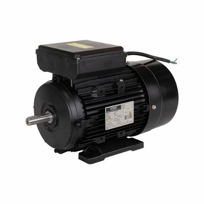 Motor Elétrico de 2CV 127/220V  60Hz 1737 RPM Bivolt Com 4 Pólos e Proteção IP55 YL90L-4 Lynus