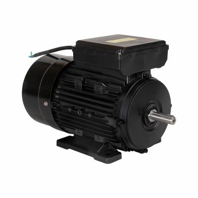 Motor Elétrico de 3CV 127/220V  60Hz 3472 RPM Bivolt Com 2 Pólos e Proteção IP55 YL90L-2 Lynus