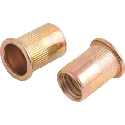 Rebite aço carbono M12 rebite manual rosca 10 peças Vonder