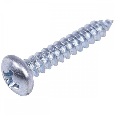 Parafuso Auto Atarraxante Cabeça Panela 4,2x19mm - 100 unidades