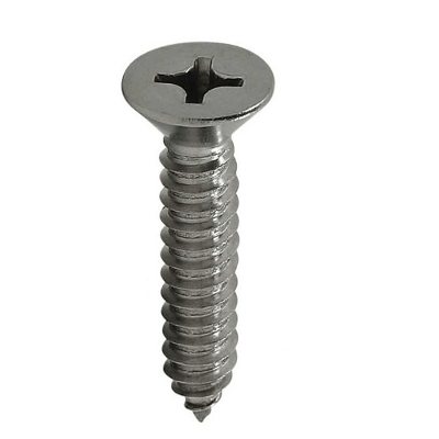 Parafuso Auto Atarraxante Cabeça Chata 4,2x19mm - 100 unidades