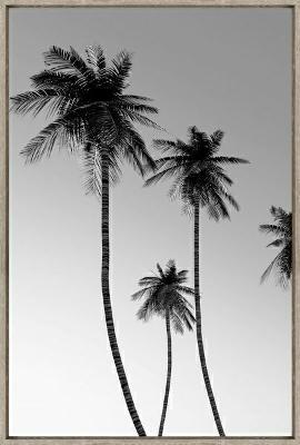 Quadro Decorativo De Canvas Palm Beach A 60 X 90cm - Visage