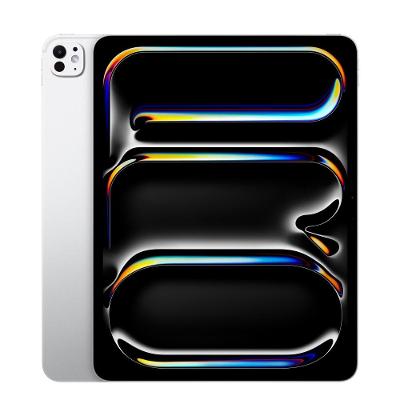 Apple iPad Pro 13" M4, Wi-Fi, 1T - Prateado
