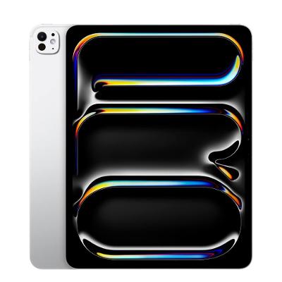 Apple iPad Pro 13" M4, Wi-Fi, vidro nano-texture, 1T- Prateado