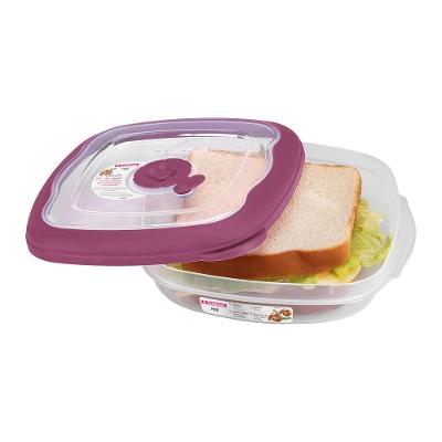 Pote Sanduíche Plástico Quadrado Hermético Açaí 664ml Flor Sanremo