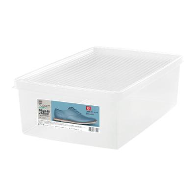 Organizador para Sapatos Plástico Cristal Ordene