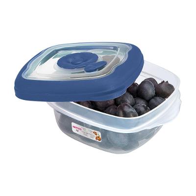 Pote Plástico Quadrado Hermético Azul 280ml Flor Sanremo