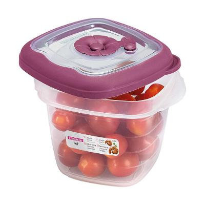 Pote Plástico Quadrado Hermético Açaí 450ml Flor Sanremo