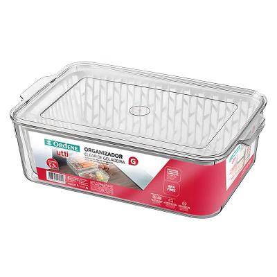 Organizador Clear de Geladeira Plástico 5,3l Utti Ordene