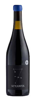 Vinho Sietejuntos Arroyuelos Tempranillo 2020 (Microbio Wines) 750ml