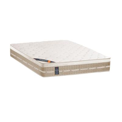 Colchão king 193cm Premium Molas Tecnopedic Colchões Castor