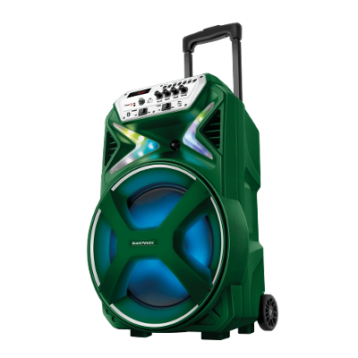 Caixa Amplificada Palmeiras CMPA-01