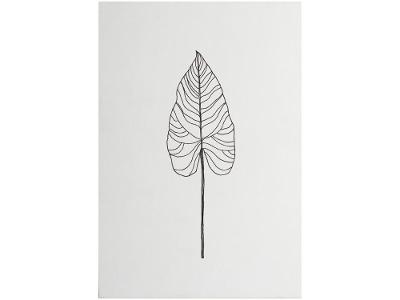 Placa Decorativa MDF Folha Minimalistas 20x29cm