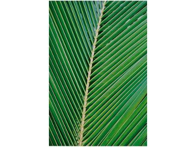 Placa Decorativa MDF Folha 30x44cm 