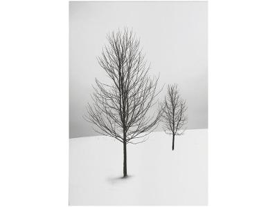 Placa Decorativa MDF Inverno 30x44cm 