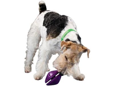 Brinquedo para Cachorro de Borracha Busy Buddy Twist N Treat PetSafe