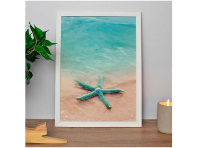 Quadro Decorativo Estrela-do-Mar 35x47cm