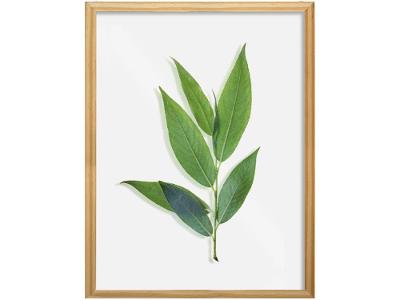 Quadro Decorativo Folhagens 22,5x32,5cm