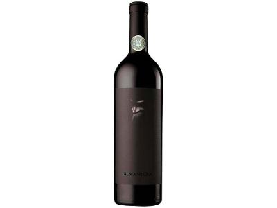 Vinho Tinto Seco Tikal Alma Negra Argentina 750ml