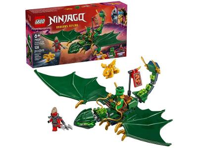 LEGO Dragão Verde Florestal do Lloyd