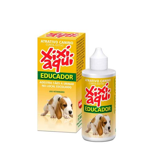 Educador Xixi Aqui Bellokão
