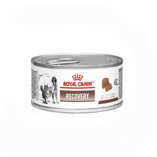 Ração Úmida Royal Canin Recovery Cães e Gatos
