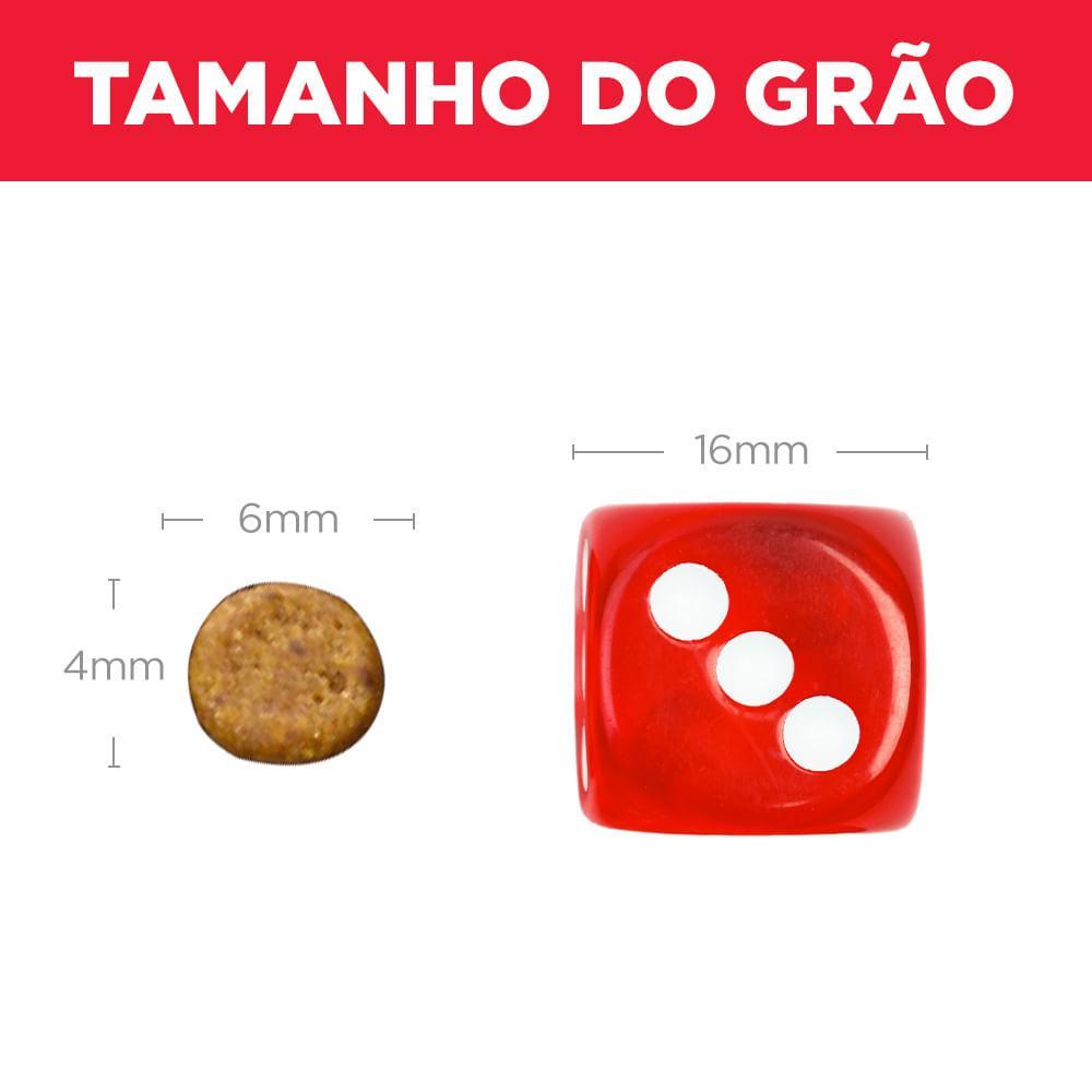 Ração Hill's Science Diet para Gatos Filhotes Sabor Frango - 4