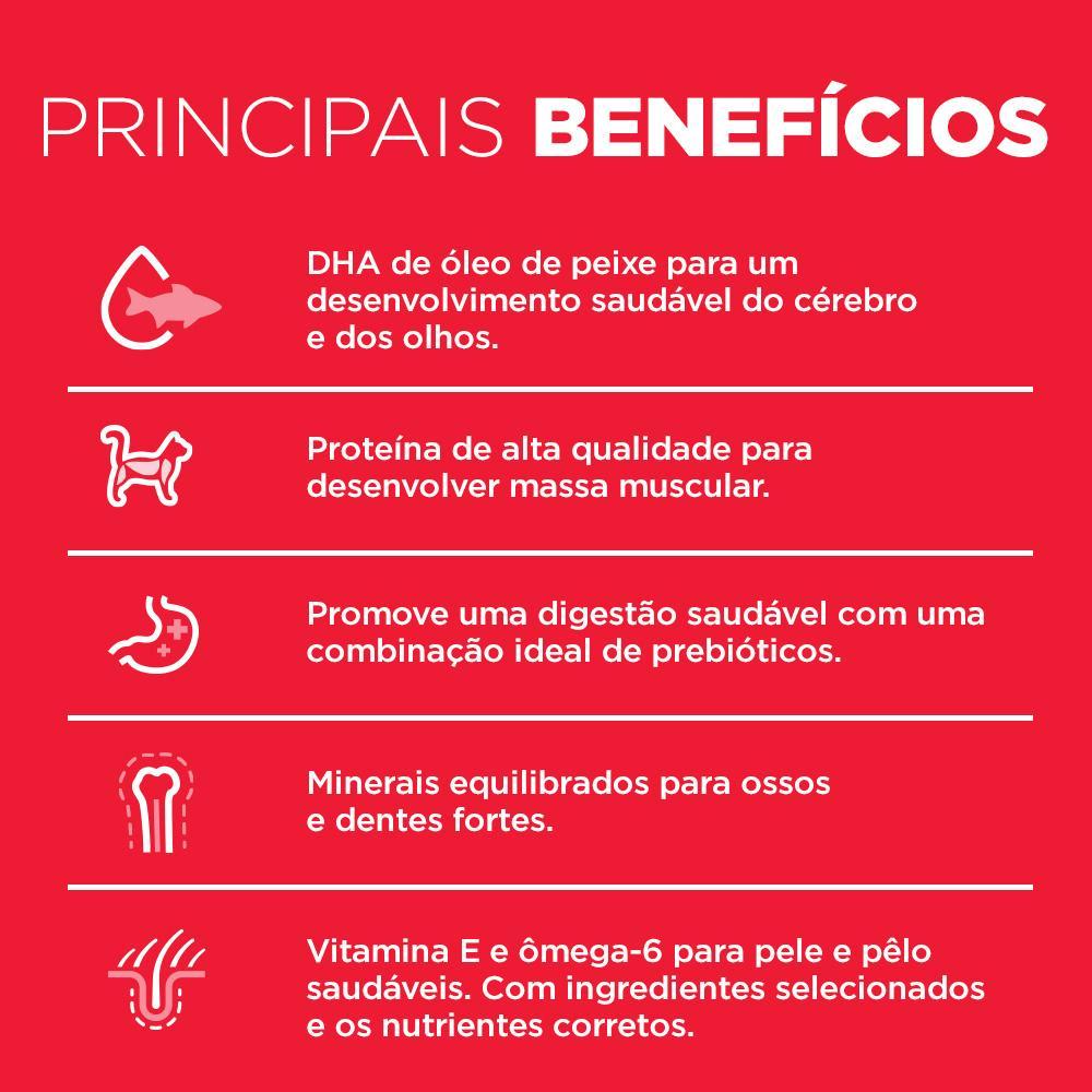 Ração Hill's Science Diet para Gatos Filhotes Sabor Frango - 6