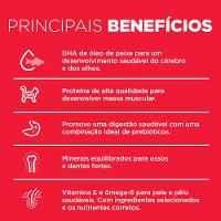 Ração Hill's Science Diet para Gatos Filhotes Sabor Frango - 1