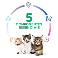 Ração Hill's Science Diet para Gatos Filhotes Sabor Frango - 2