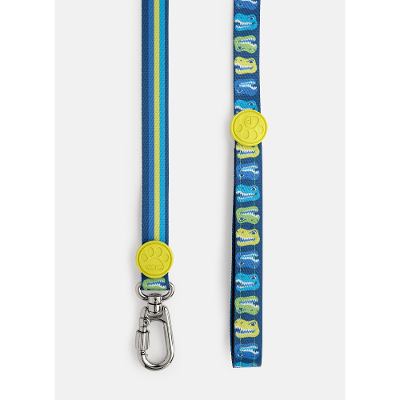 Guia Style para Pets Dinossauro Skate
