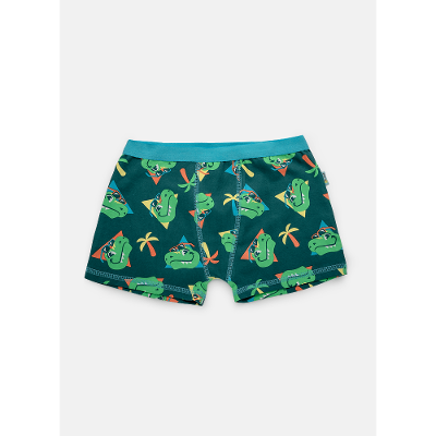 Cueca Boxer Algodão Menino Dino Miami