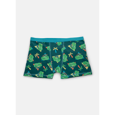Cueca Boxer Algodão Menino Teen Dino Miami