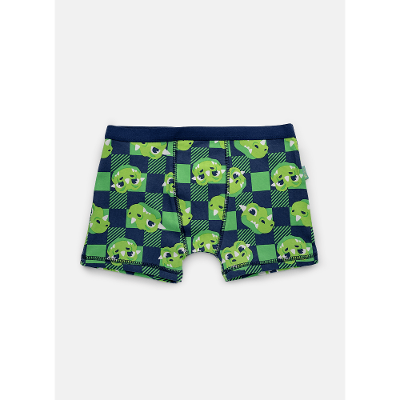 Cueca Boxer Algodão Menino Teen Dragão Camping